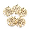 Tibetan Style Zinc Alloy Pendants TIBEP-EA11591YKG-AG-FF-1