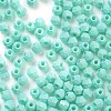 Baking Paint Glass Seed Beads X1-SEED-A032-02C-3