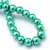 Baking Painted Pearlized Glass Pearl Round Bead Strands X-HY-Q003-10mm-29-4