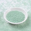 MIYUKI Round Rocailles Beads SEED-G007-RR0370-2