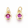 Brass with Single Cubic Zirconia Charms ZIRC-F095-03G-04-2