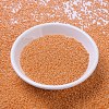 MIYUKI Round Rocailles Beads SEED-G007-RR0423-2