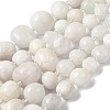 Natural White Moonstone Beads Strands G-Q169-E08-01-2