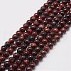 Natural Tiger Eye Bead Strands G-P230-14-6mm-1