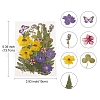 Pressed Dried Flowers DIY-YWC0001-97-3
