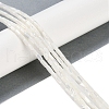 Natural Freshwater Shell Beads Strands BSHE-H109-16-2