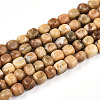 Natural Yellow Opal Beads Strands G-N346-04A-08-2