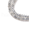 Natural Labradorite Beads Strands G-RM2025-D17-B-4