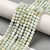 Natural Green Opal Beads Strands G-Z035-A02-02A-2