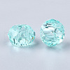 Transparent Resin Beads RESI-T030-02G-2