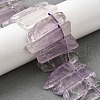 Natural Amethyst Beads Strands G-S386-D04-1