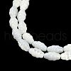 Natural Freshwater Shell Beads Strands BSHE-H109-02-4