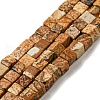 Natural Picture Jasper Beads Strands G-C129-A08-01-1