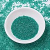 MIYUKI Delica Beads SEED-X0054-DB0918-2