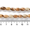 Natural Picture Jasper Beads Strands G-I369-B04-01-5