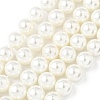 Shell Pearl Beads Strands BSHE-K015-10mm-04-1