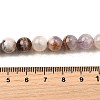 Natural Amethyst Lace Agate Beads Strands G-H312-C01-8mm-5