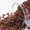 TOHO Round Seed Beads X-SEED-TR11-0165D-1