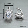 Brass Cubic Zirconia Hoop Earrings WGD6818-05-2