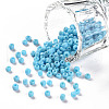 Glass Seed Beads SEED-A010-3mm-43-1