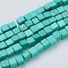 Natural Magnesite Beads Strands TURQ-K003-24-1