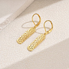Brass Hollow Leverback Earrings VF9446-2-1