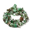 Natural Chrysoprase Beads Strands G-G0004-D01-B-3