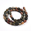 Natural Picasso Jasper/Polychrome Jasper Beads Strands G-N346-02B-05-3