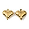 304 Stainless Steel Pendants. Heart Charm STAS-A190-02B-G-1