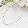 Natural Amazonite Beaded Necklaces NJEW-K114-A-A07-1