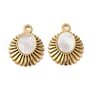 304 Stainless Steel Natural White Shell Pendants STAS-L288-07G-02-1