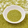 MIYUKI Delica Beads SEED-X0054-DB2187-2