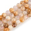 Natural Cherry Blossom Agate Beads Strands G-H062-A02-02-2