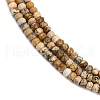 Natural Picture Jasper Beads Strands G-P572-A01-01-4