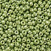 8/0 Glass Seed Beads SEED-US0003-3mm-124-2