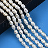 Natural Cultured Freshwater Pearl Beads Strands X-PEAR-N012-05D-6