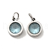304 Stainless Steel Pendants STAS-D189-07P-C-3