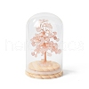 Natural Rose Quartz Chips Money Tree in Dome Glass Bell Jars with Wood Base Display Decorations DJEW-B007-04B-1