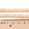 Natural Freshwater Shell Beads Strands SSHEL-C013-07H-2