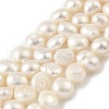 Natural Cultured Freshwater Pearl Beads Strands PEAR-A006-08A-2