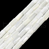 Natural Trochus Shell Beads Strands X-BSHE-Z003-18-1