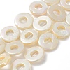 Natural Freshwater Shell Dyed Beads Strands BSHE-P033-01A-1