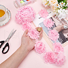 Polyester Lace Ribbons OCOR-WH0082-213C-3