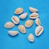 Natural Cowrie Shell Beads X-BSHE-S056-1