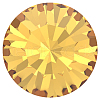 Preciosa® MAXIMA Crystal Round Stones X-PRC-RBSS24-10070-3