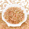 Frosted Glass Seed Beads SEED-N008-05D-2