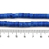 Synthetic Turquoise Beads Strands G-V003-A01-05-5