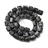Natural Larvikite Beads Strands G-R015-A04-3