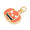 Brass Enamel Pendants KK-Q028-53G-2