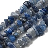Dyed & Heated Natural Blue Aventurine Chip Beads Strands G-M205-10C-1